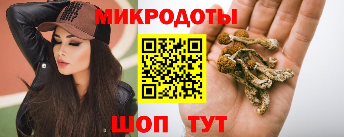 Новый Уренгой  Псилоцибиновые грибы мицелий  Вход с VPN 